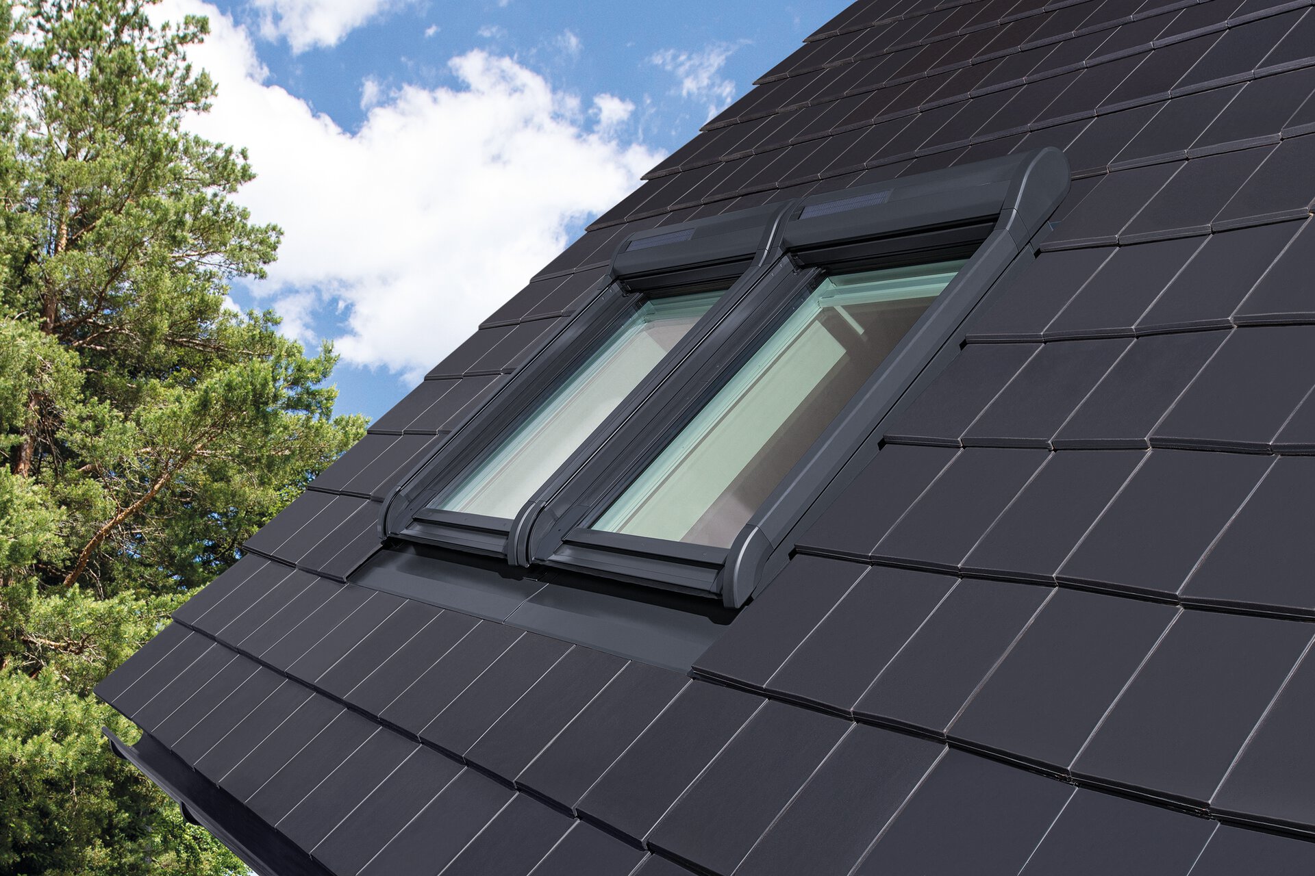 8e1f1c0d-5a65-4672-b51a-ebd22f9b3e62 (1).jpeg